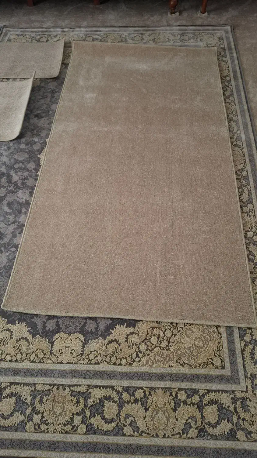 پالاز موکت|موکت|همدان, |دیوار