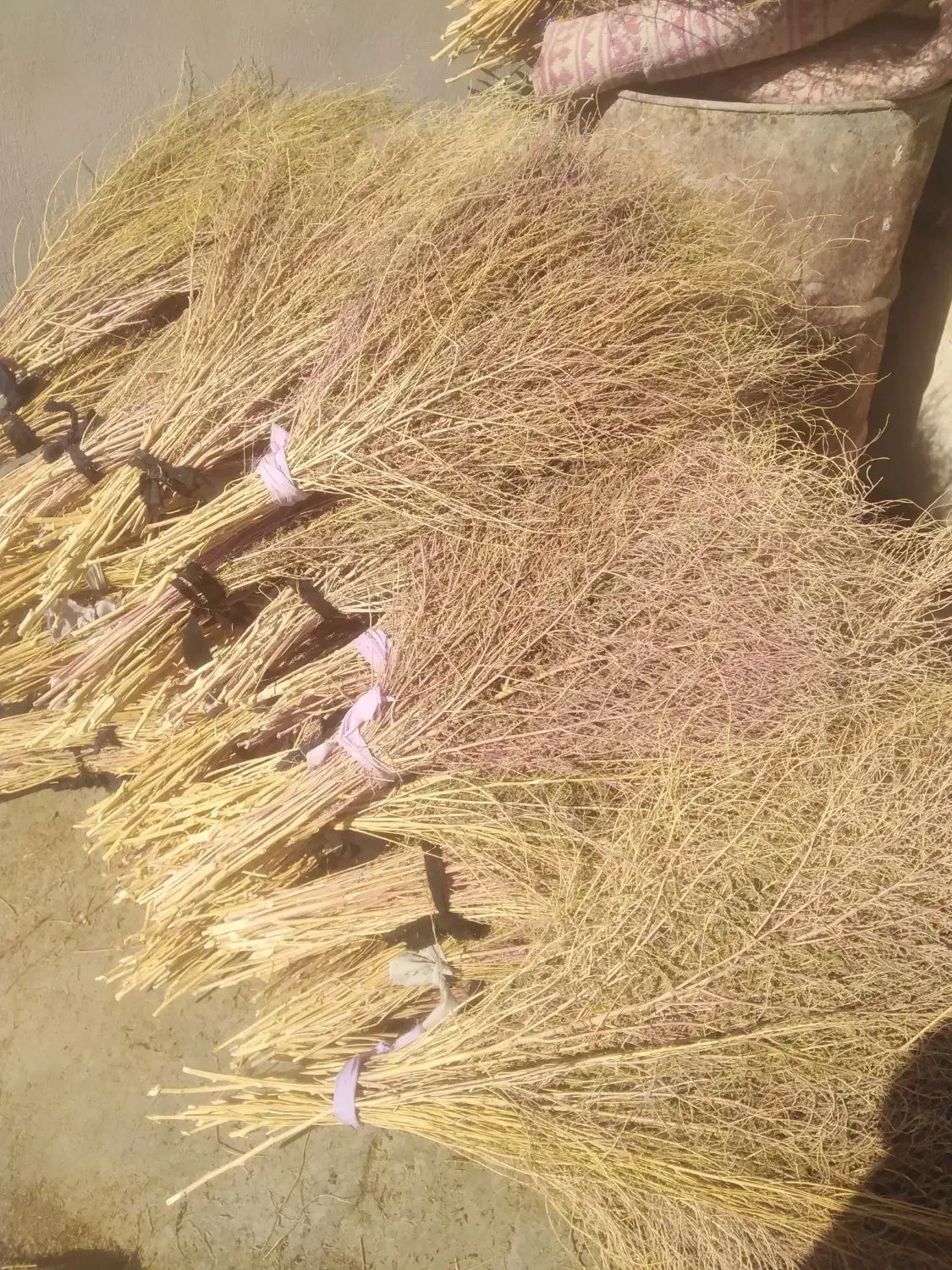 جارو|جاروبرقی، جارو شارژی، بخارشو|کوهدشت, |دیوار