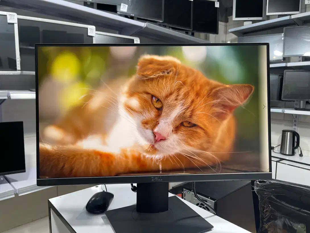مانیتور p2219 DELL IPS|قطعات و لوازم جانبی رایانه|کرج, شاهینویلا|دیوار
