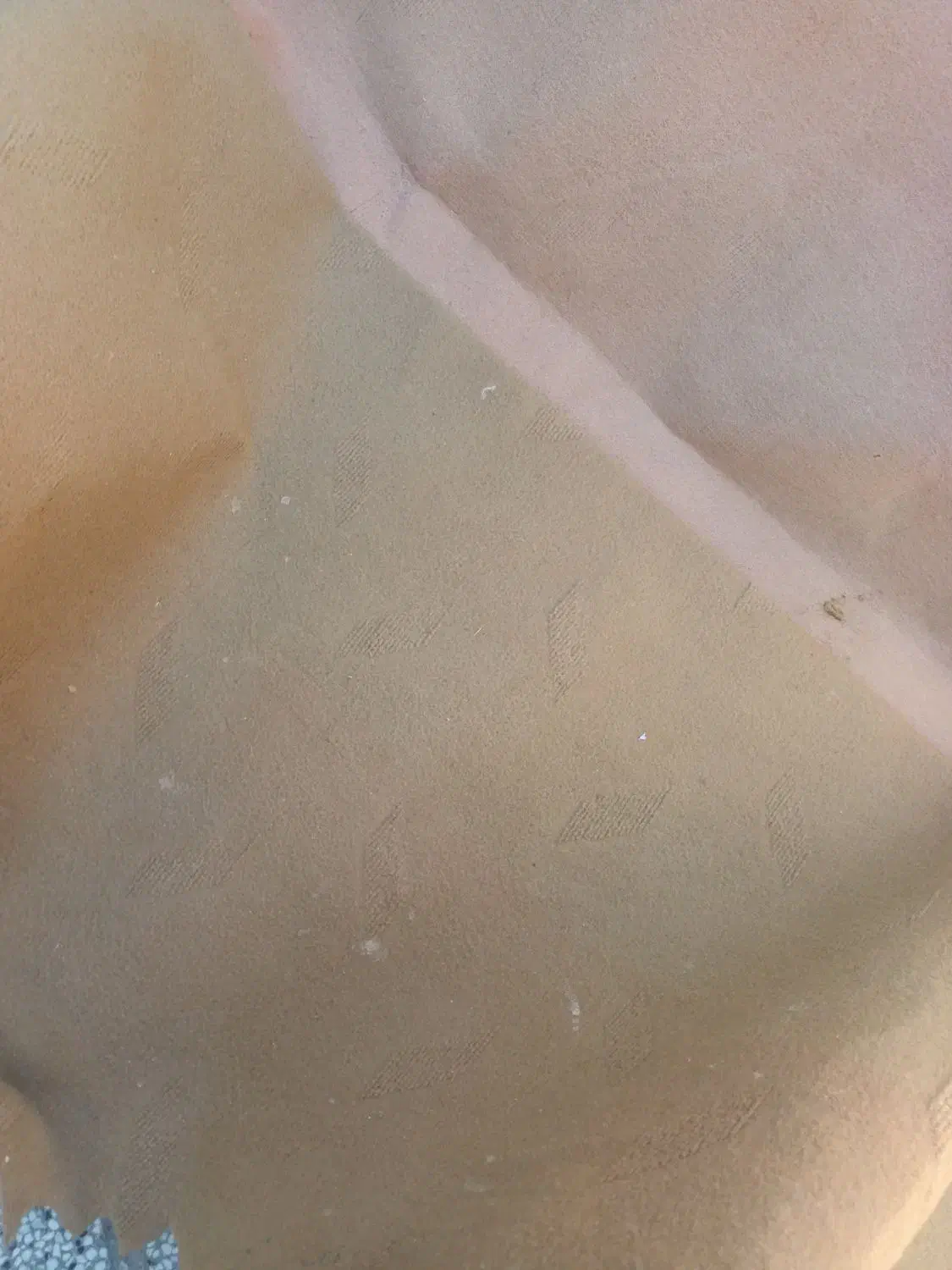 موکت تمیز|موکت|تربت‌حیدریه, کلاته توکلی|دیوار