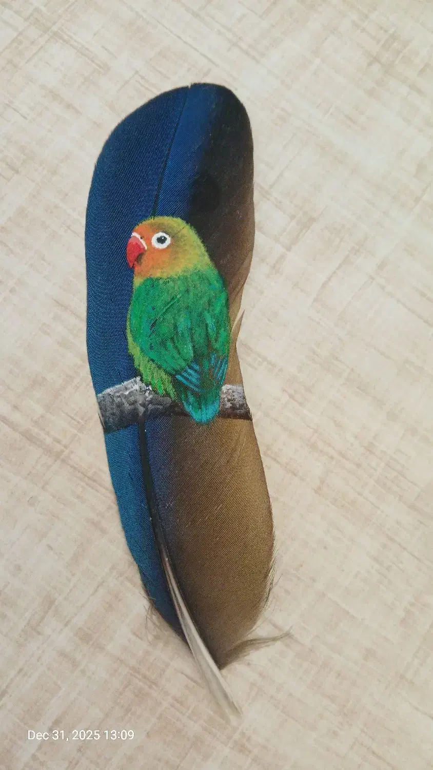 نقاشی روی پر|تابلو، نقاشی، عکس|تهران, حکیمیه|دیوار