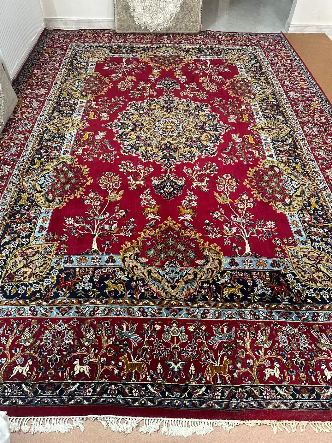 فرش۱۲متری|فرش|پاکدشت, خاتون آباد|دیوار