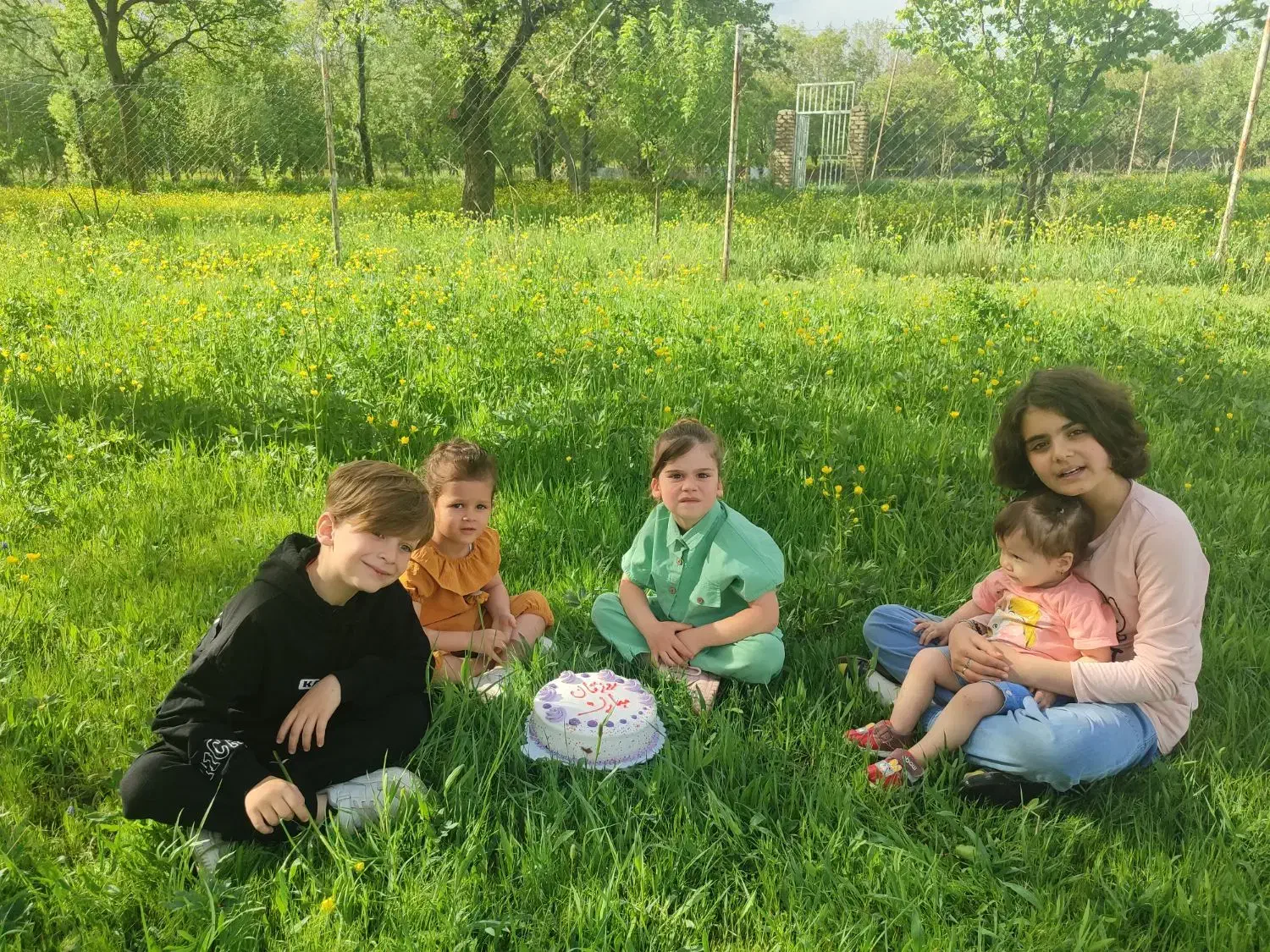 علف وعلوفه|عمدهفروشی|قره پشتلو, |دیوار