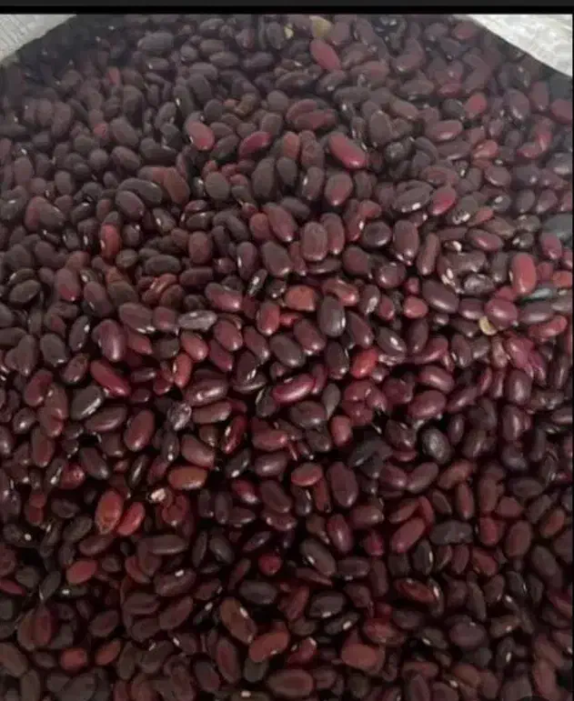 لوبیا قرمز|خوردنی و آشامیدنی|شیراز, میانرود|دیوار