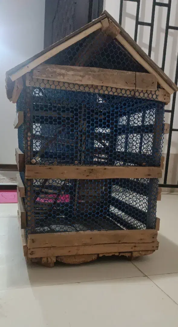 قفس پرنده|لوازم جانبی حیوانات|هشتگرد, شهرک ریحانه|دیوار