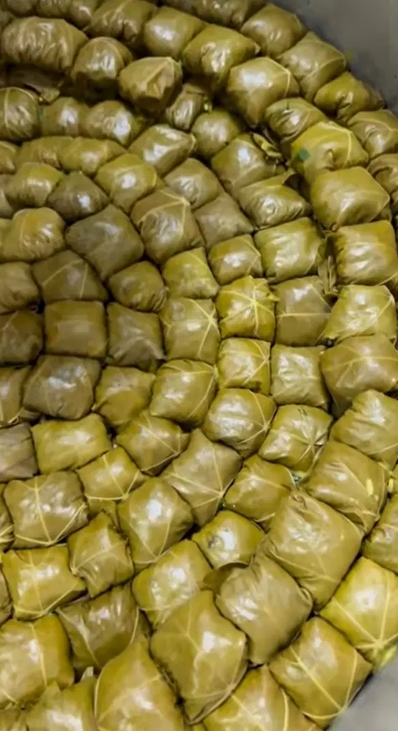 انواع دلمه و سمبوسه(برگ مو .کلم برگ) کلی و جزئی|خوردنی و آشامیدنی|تهران, فرحزاد|دیوار