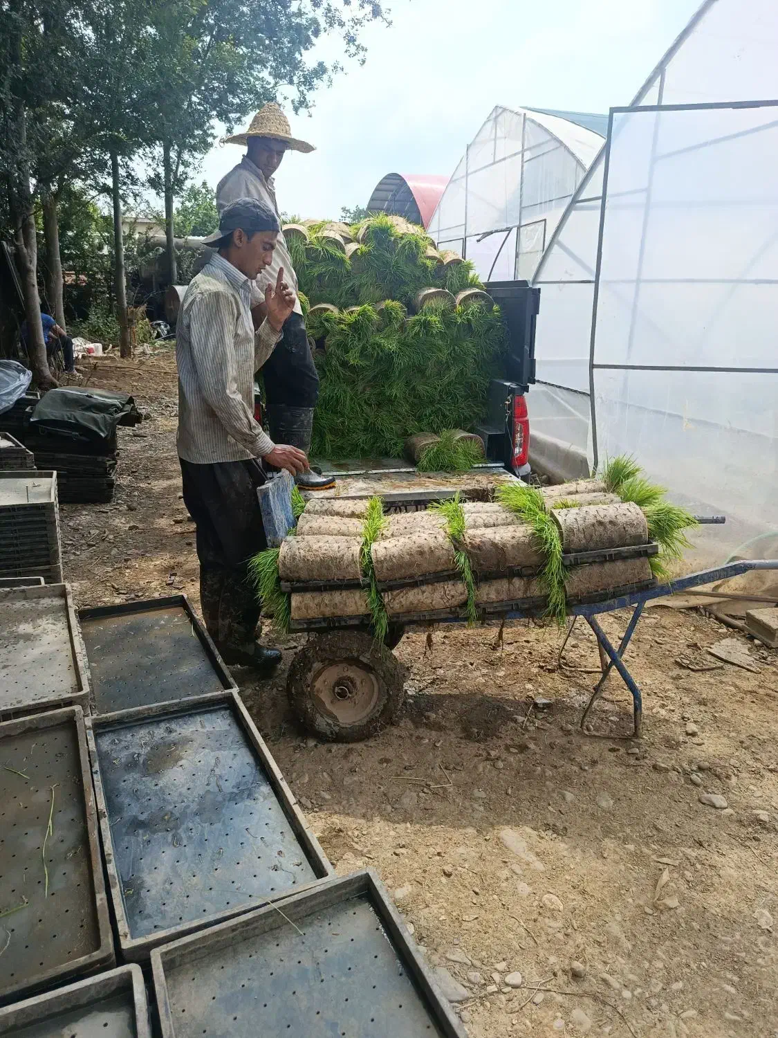 میل گرد خزانه وسینی نشا|عمده‌فروشی|میانه, |دیوار