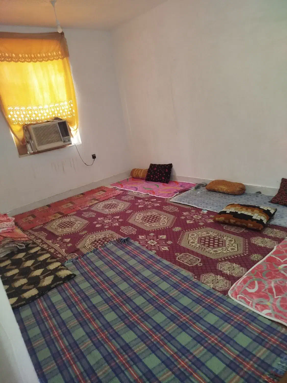 کرایه روزانه|اجارهٔ کوتاهمدت آپارتمان و سوئیت|بندر گناوه, |دیوار