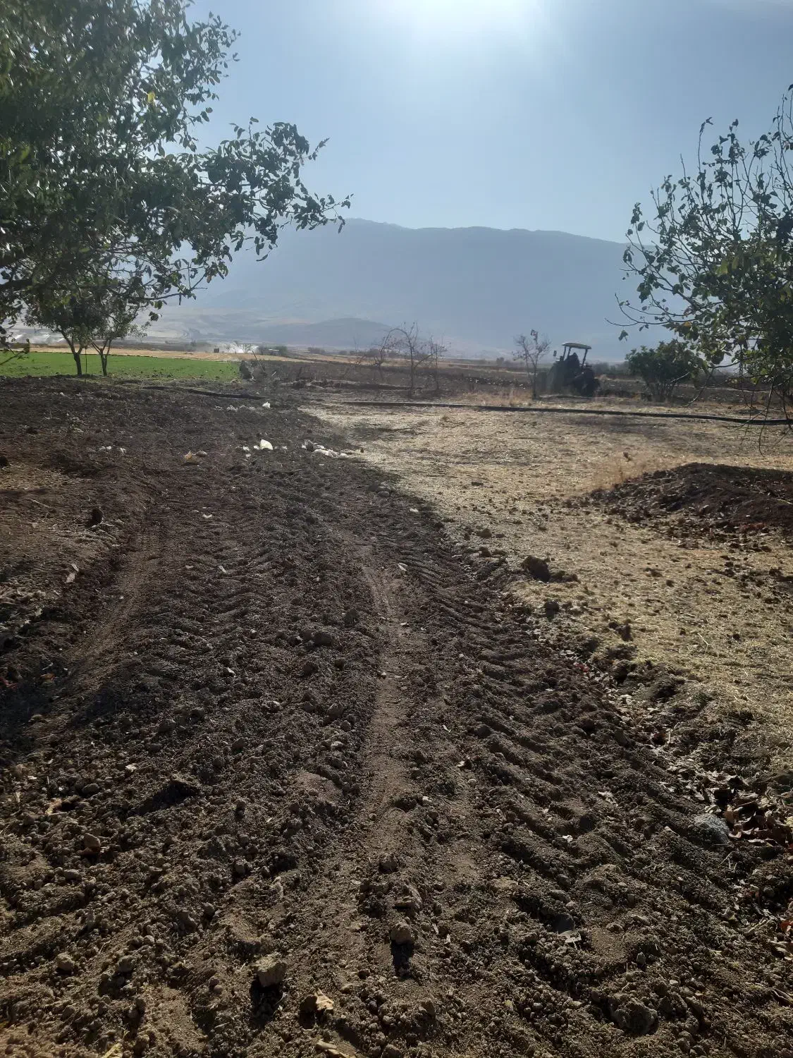 زمین کشاورزی بارانی درجه یک|فروش دفتر صنعتی، کشاورزی، تجاری|بیلوار, |دیوار