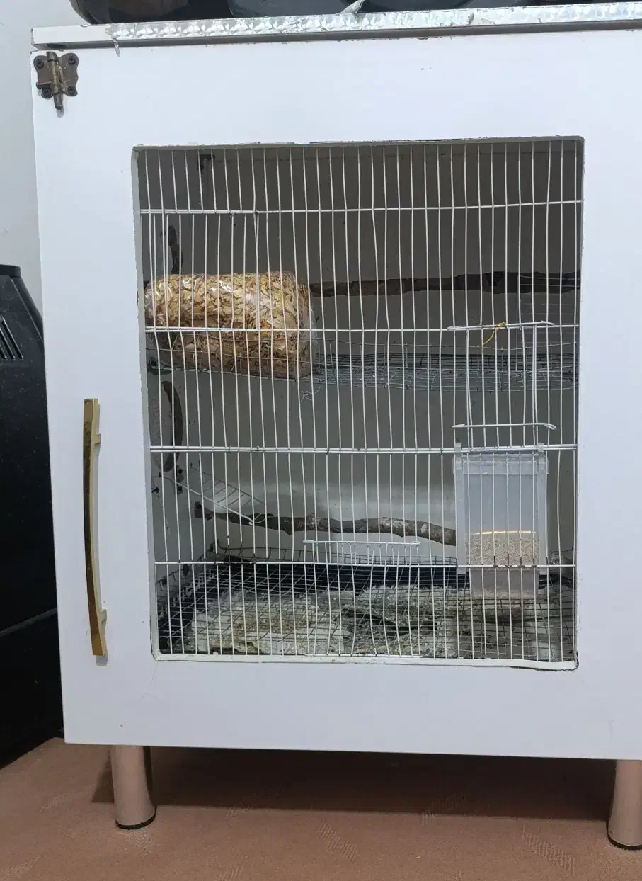 قفس کمدی پرنده|لوازم جانبی حیوانات|مشهد, شهید معقول|دیوار