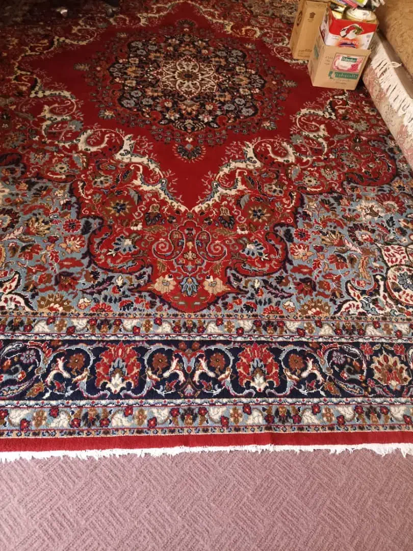 قالی 12 متری کارکرده گچساران|فرش|دوگنبدان, |دیوار