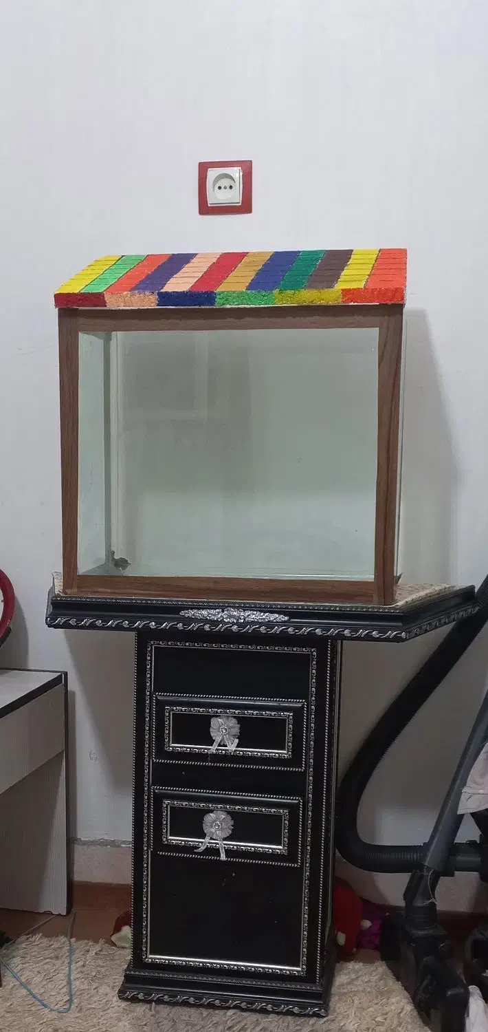 اکواریوم|ماهی|زاهدان, |دیوار