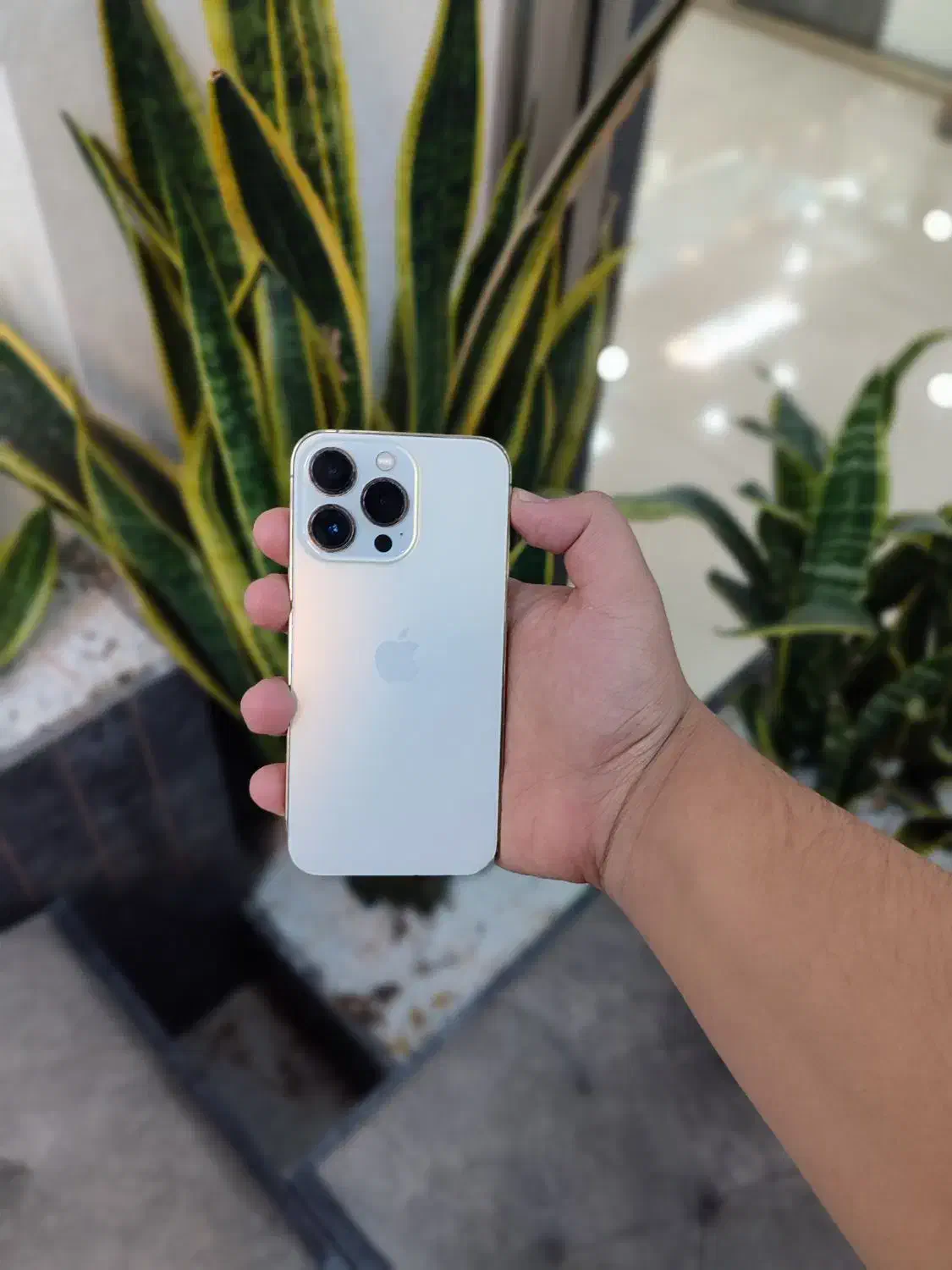 فروش گوشی کارکرده و آکبند آیفون ۱۳|موبایل|اصفهان, مفتح|دیوار