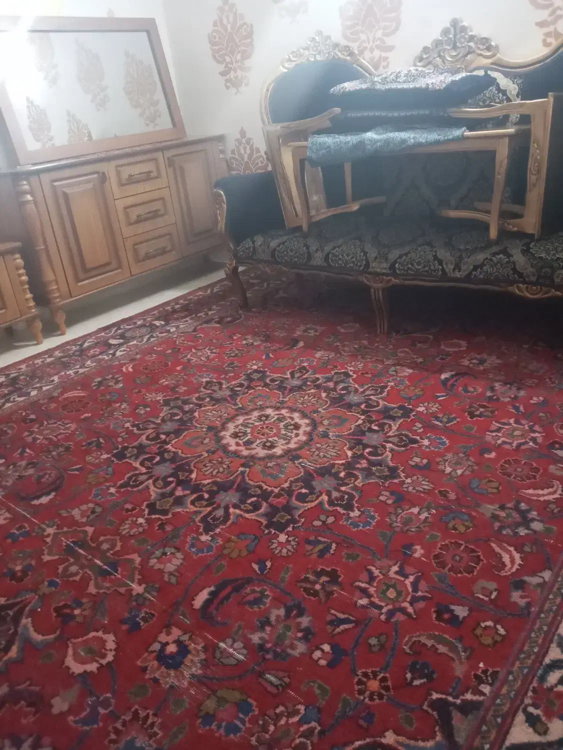 قالی فرش دستباف|فرش|گلبهار, شهر جدید گلبهار|دیوار