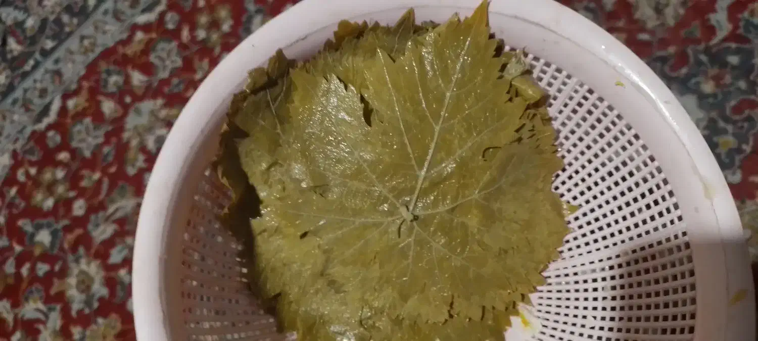 برگ شور|خوردنی و آشامیدنی|کوهسرخ, |دیوار