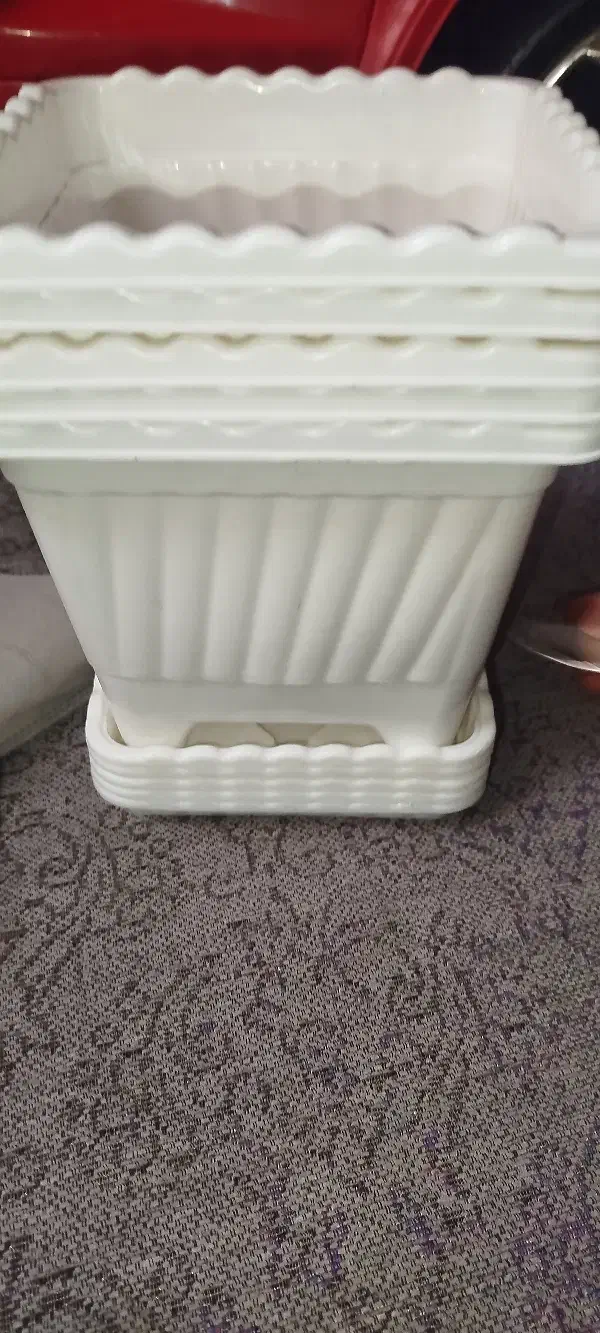 گلدان|گل و گیاه طبیعی|خرم‌آباد, |دیوار