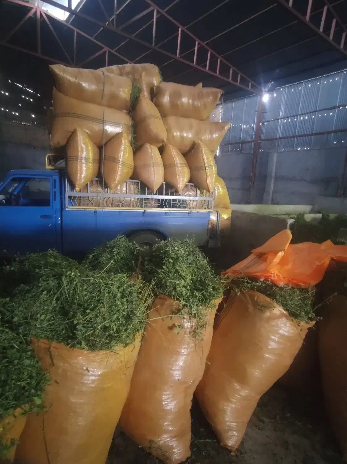 یونجه خشک|لوازم جانبی حیوانات|اهواز, سیاحی(سه راه خرمشهر)|دیوار