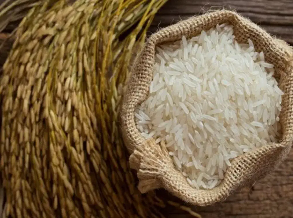 برنج سرگل با ضمانت مرجوع|خوردنی و آشامیدنی|شاهرود, |دیوار