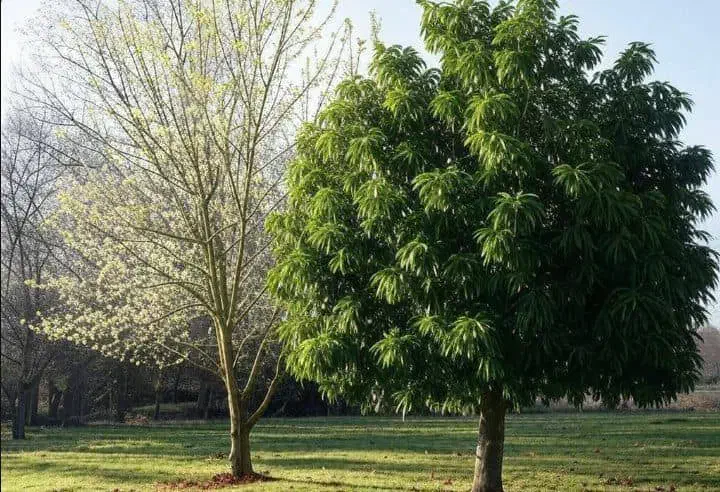 زمین کشاورزی هزار تا سه هزارمتر|فروش دفتر صنعتی، کشاورزی، تجاری|حبیب آباد, |دیوار