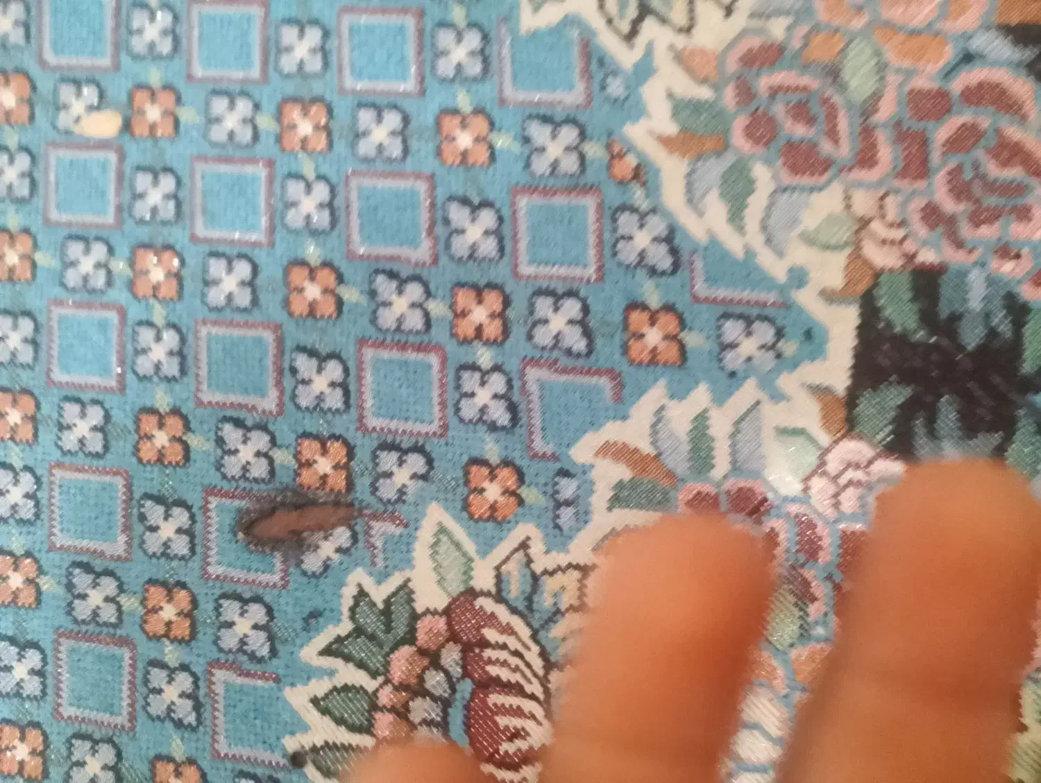 روفرشی|روفرشی|چابهار, |دیوار