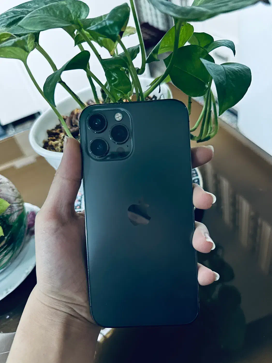 12promMaX|موبایل|مشهد, رضاییه|دیوار