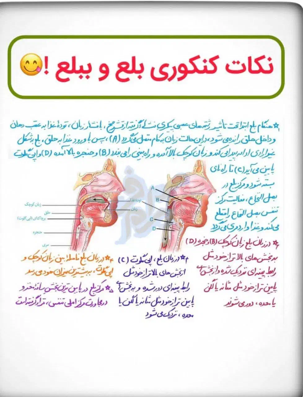 مشاوره کنکور تجربی با بهترین قیمت|خدمات آموزشی|نیشابور, دارایی|دیوار