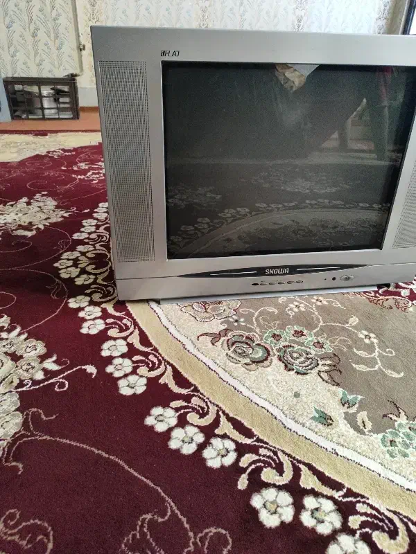 تلویزیون اسنوا|تلویزیون و پروژکتور|الوند, |دیوار