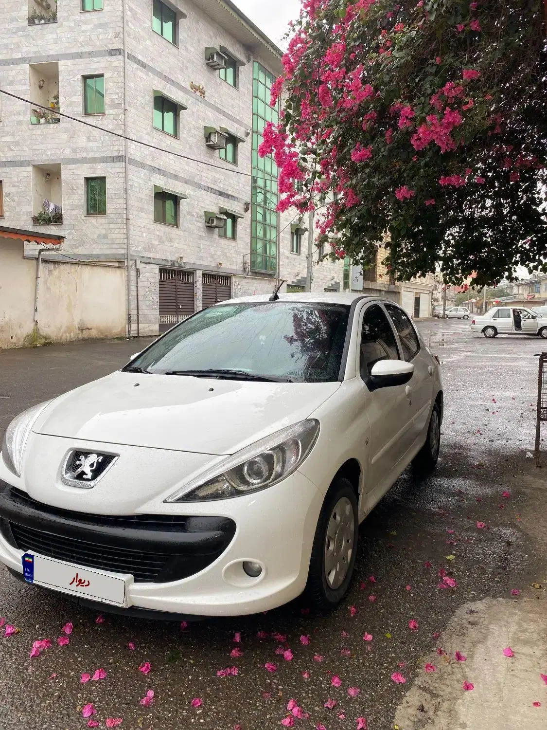 ۲۰۷|خودرو سواری و وانت|رشت, حمیدیان|دیوار