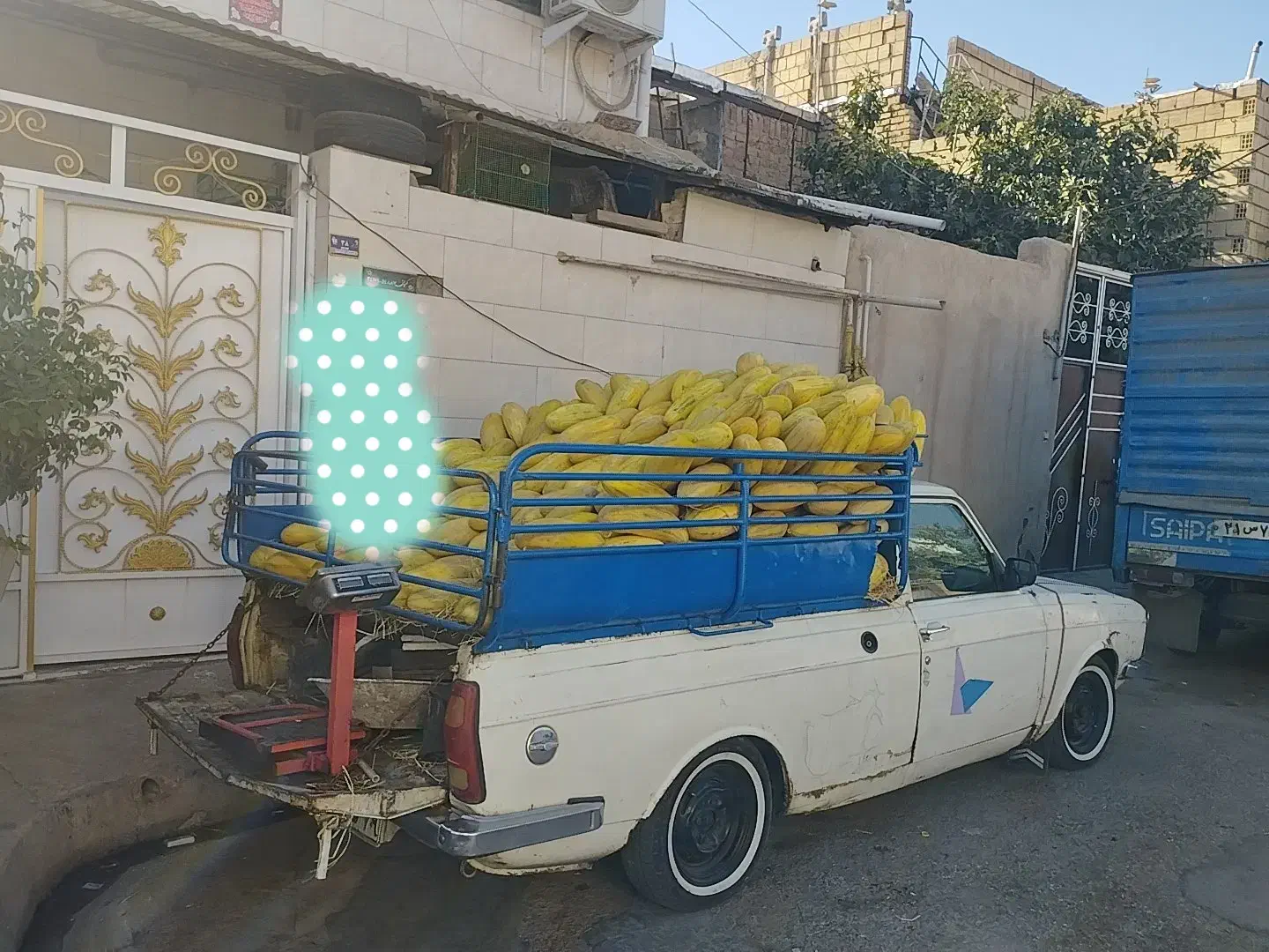 پیکان وانت مدل۸۶دوگانه شرکت اسب زین شده(معاوضه|خودرو سواری و وانت|قزوین, |دیوار