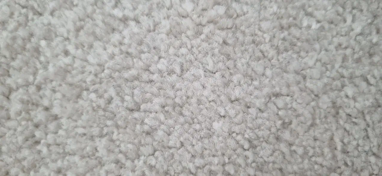 موکت ظریف مصور|موکت|کرمانشاه, |دیوار