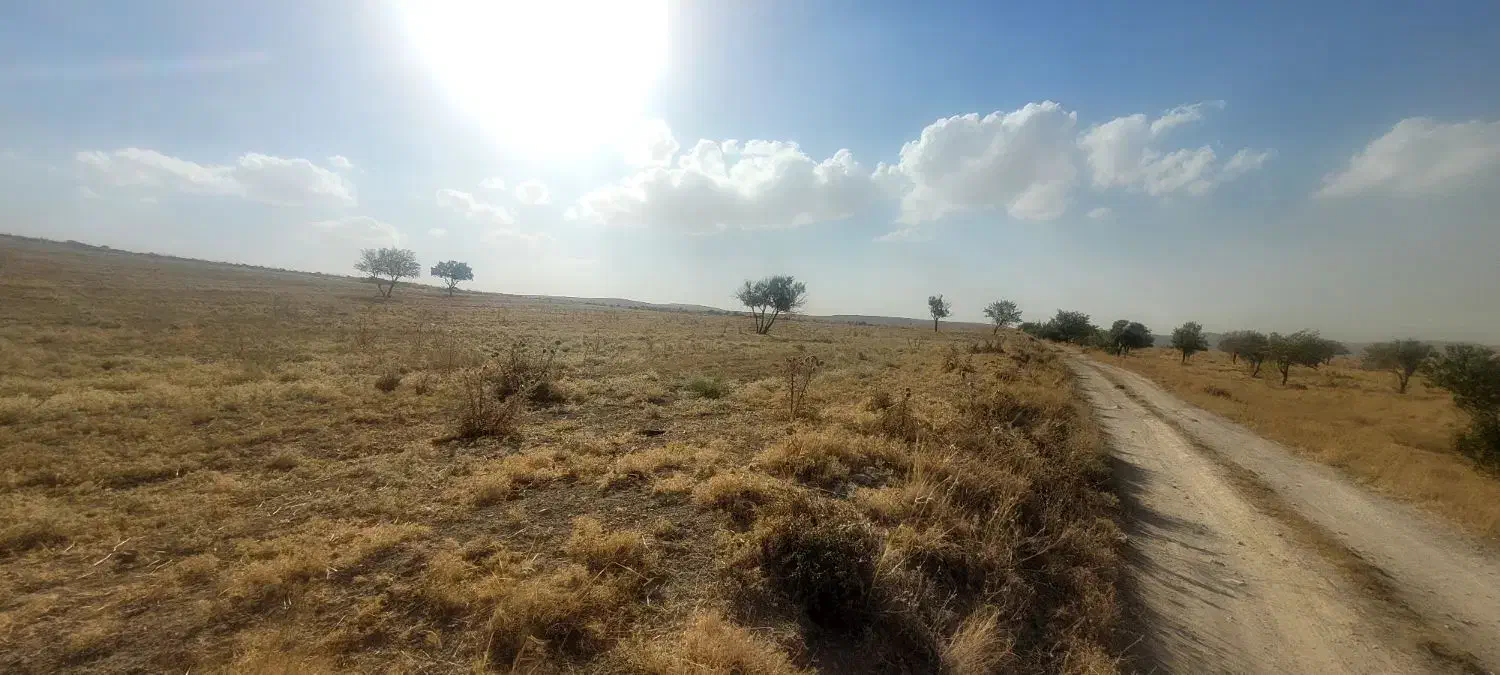 زمین دیمی در کنار جاده کندوان|فروش زمین و ملک کلنگی|اسکو, |دیوار