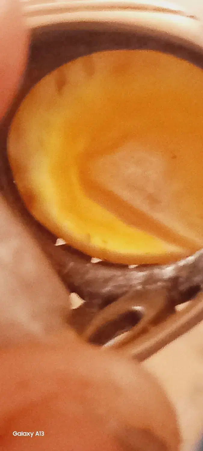 انگشتر موکلدار تضمینی،زیرقیمت بخاطر نیازب پول|کلکسیون اشیاء عتیقه|بندر گناوه, |دیوار