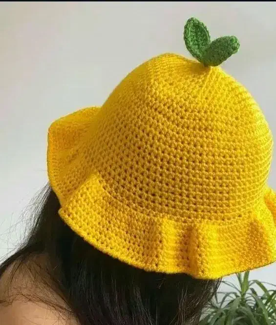 کلاه پینترستی|لباس|قم, شاه سید علی|دیوار