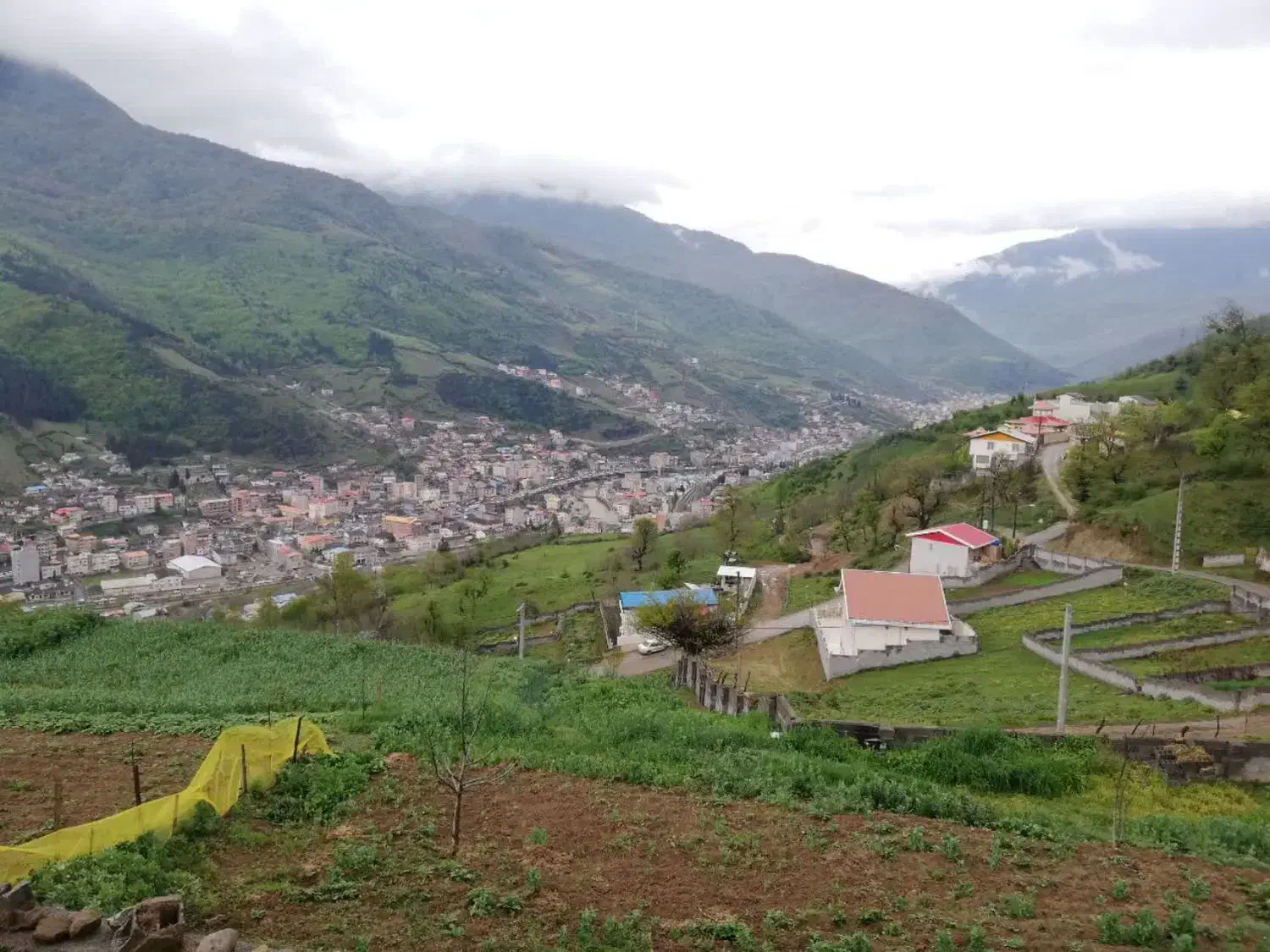 فروش زمین|فروش زمین و ملک کلنگی|پل سفید, |دیوار