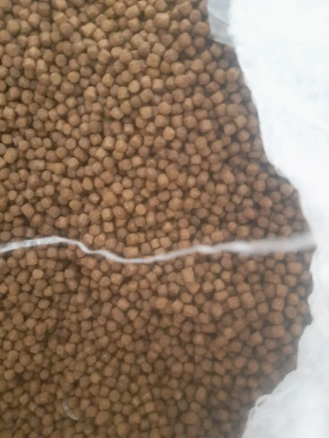 غذای ماهی قزل آلا رشد یک|ماهی|آبیک, |دیوار