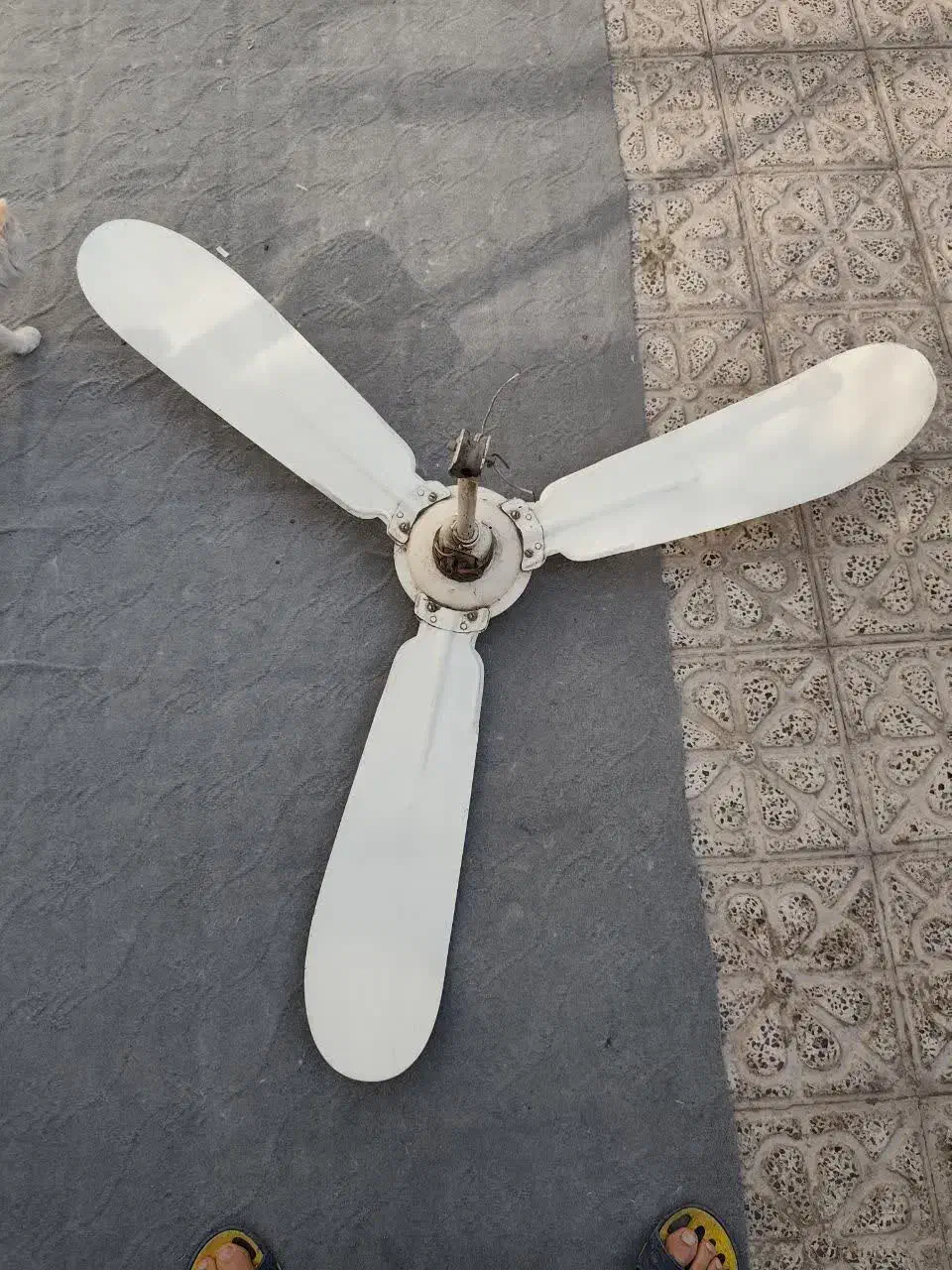 پنکه سقفی|پنکه و تصفیه‌کنندهٔ هوا|نجف‌آباد, امیرآباد|دیوار