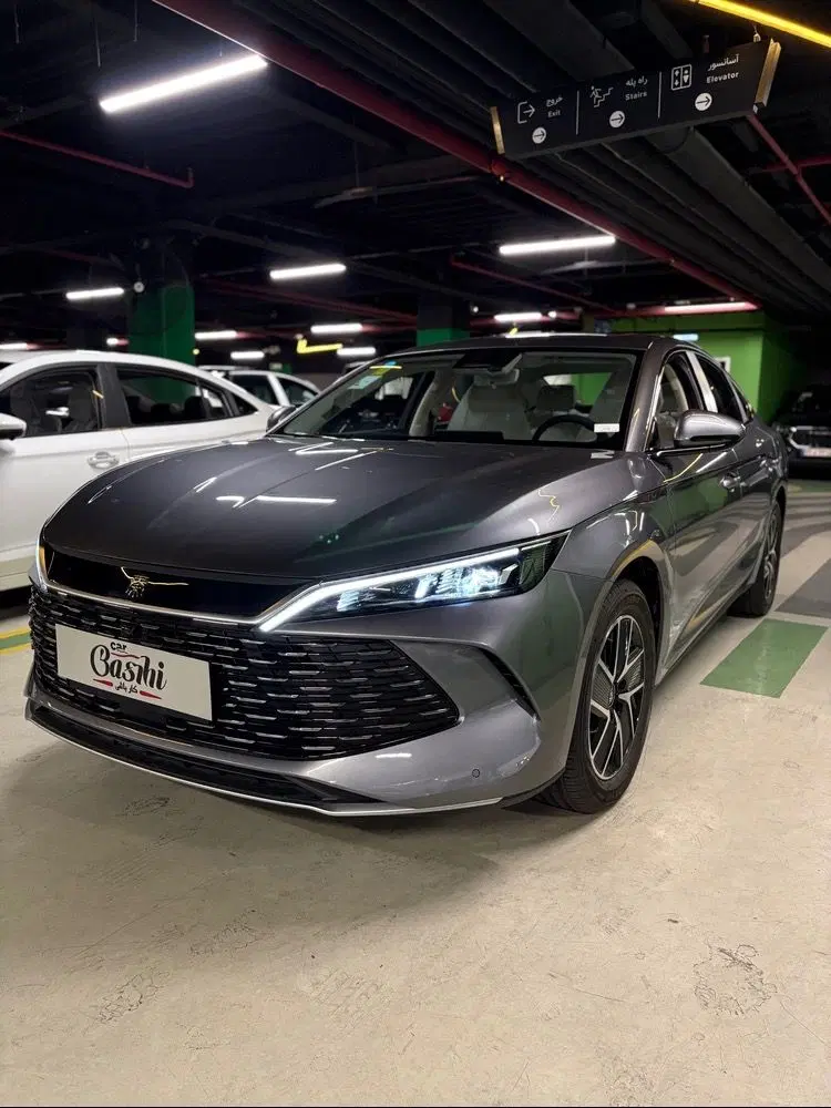 Byd چینل ۲۰۲۵ با چشم مپکا فروش فوری نقد و اقساط|خودرو سواری و وانت|تهران, هروی|دیوار