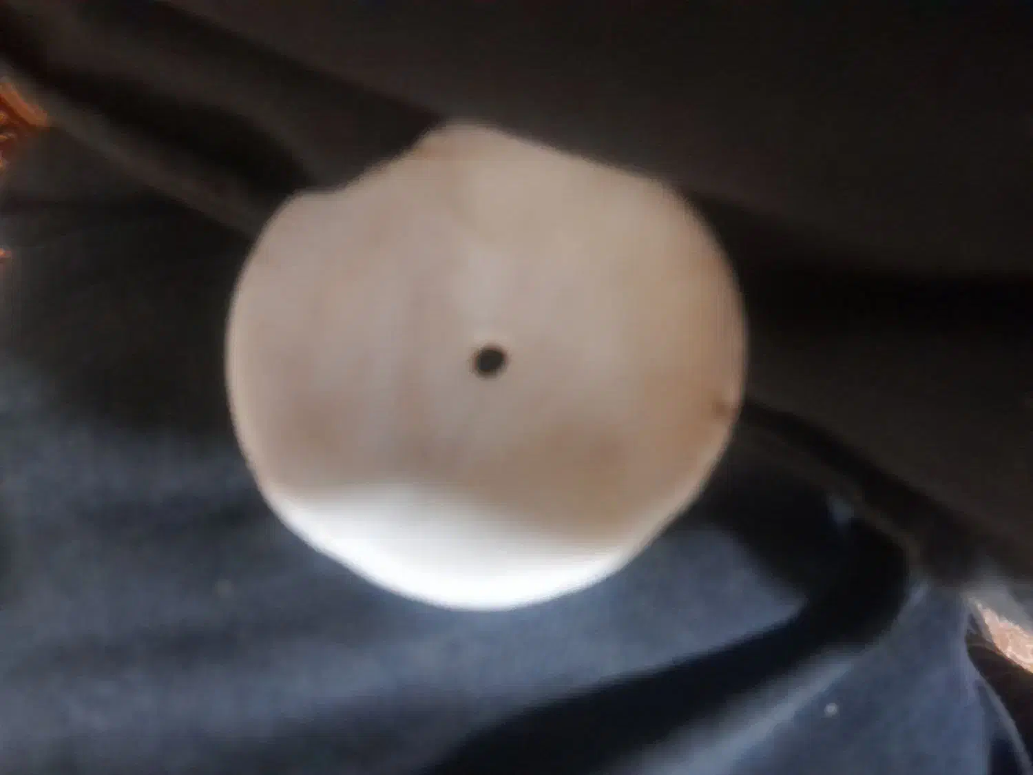 مهرعتیقه وکهنه،|کلکسیون اشیاء عتیقه|باوی, |دیوار