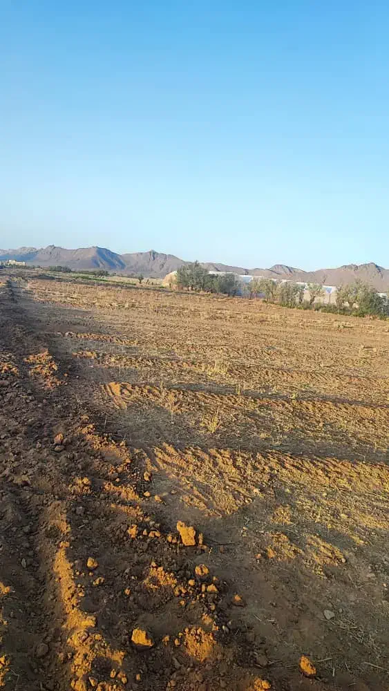 زمین گلخانه|فروش زمین و ملک کلنگی|عسگران, |دیوار