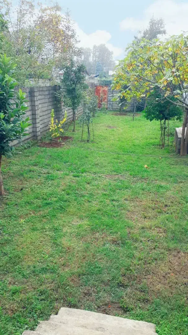 مشارکت در ساخت زمین ۴۷۲ متری|مشارکت در ساخت املاک|فومن, |دیوار