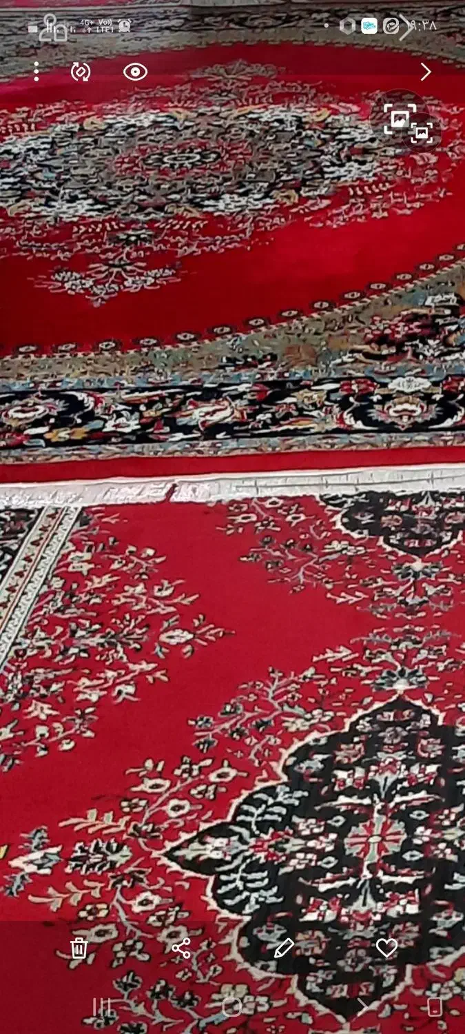 چند تخته فرش بسیار تمیز، نو و شیک|فرش|نورآباد ممسنی, |دیوار