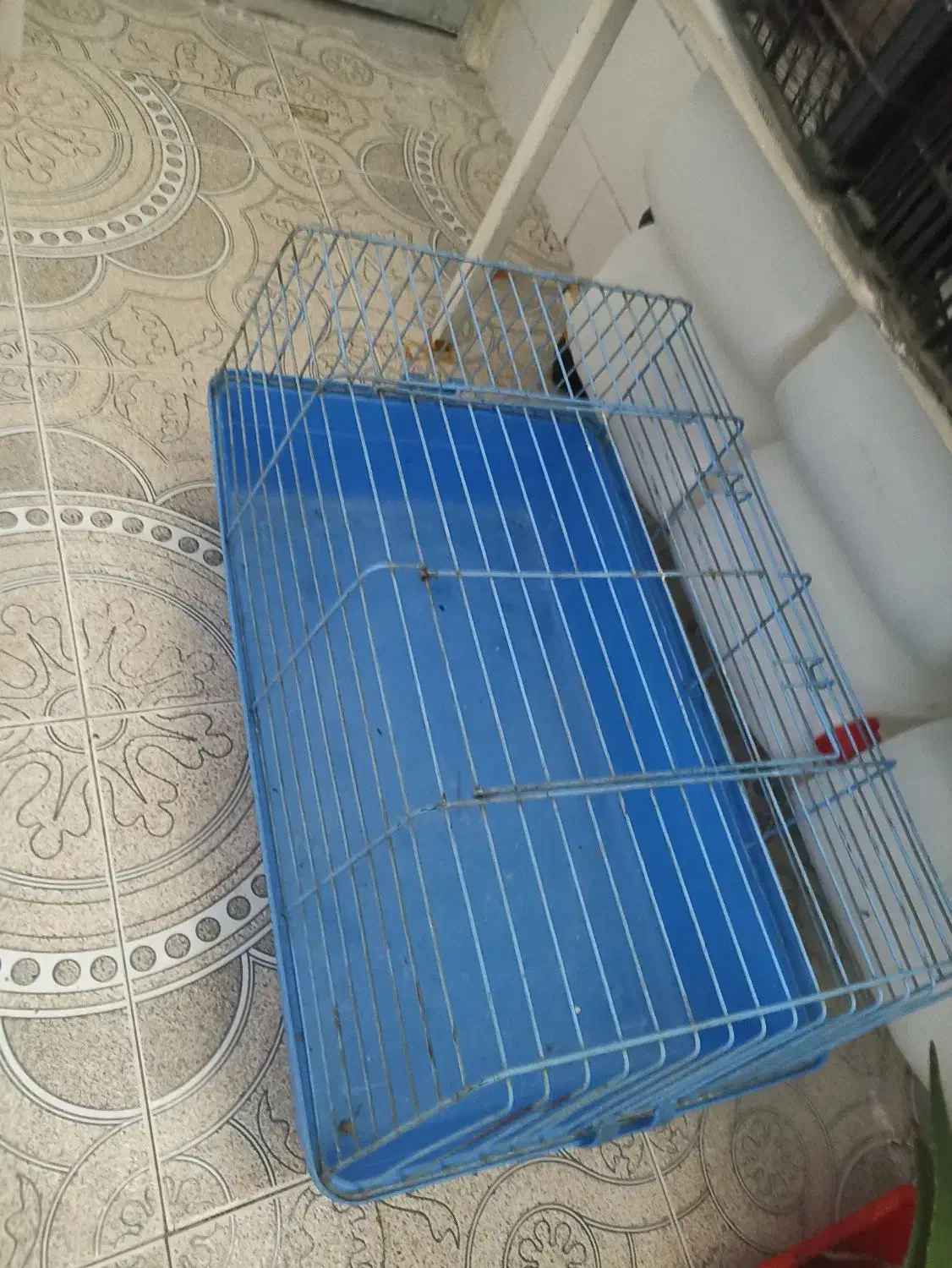 قفس سایز بزرگ خرگوش|لوازم جانبی حیوانات|اهواز, طالقانی|دیوار