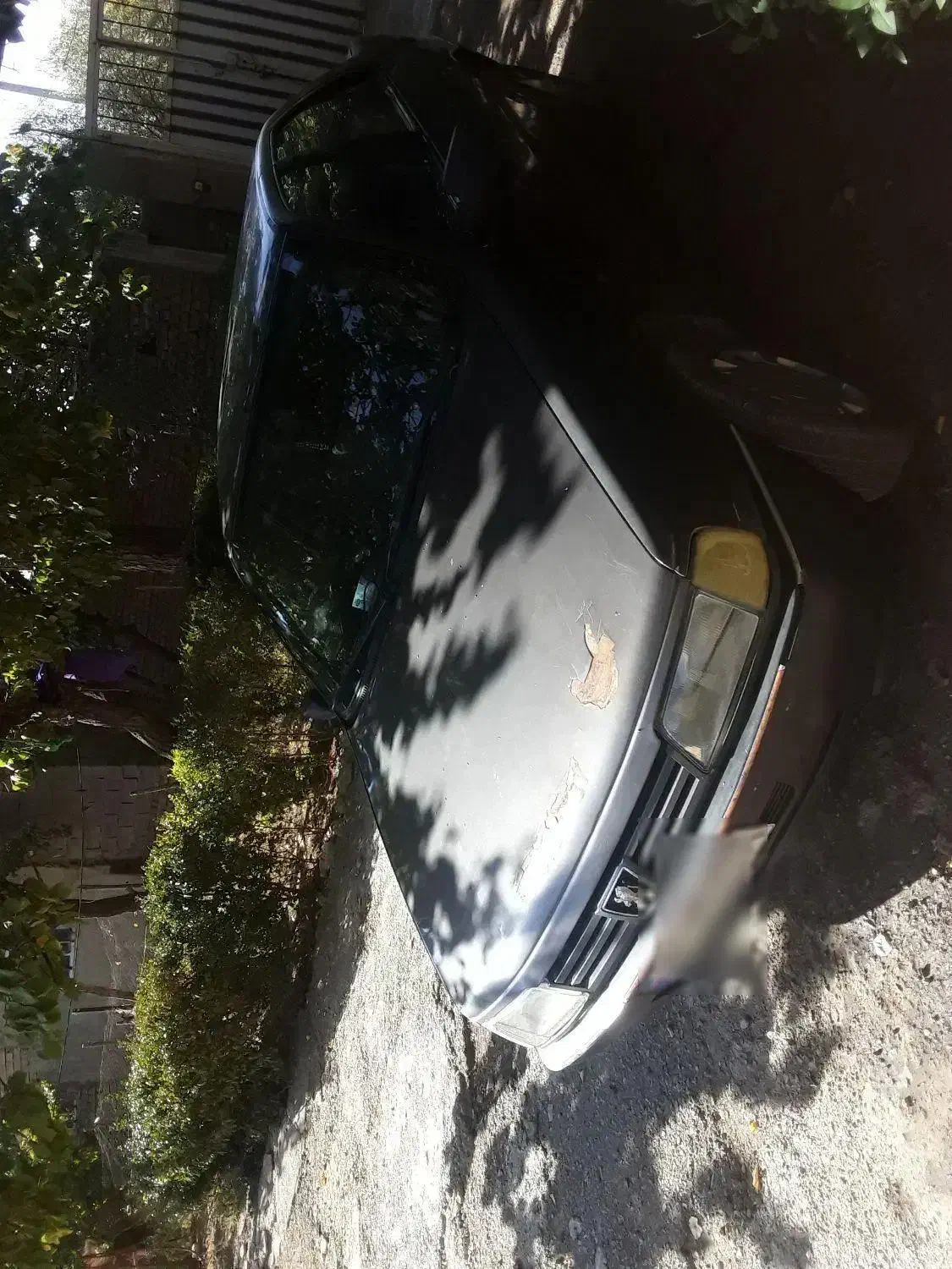 پژو روا|خودرو سواری و وانت|زاغه, |دیوار