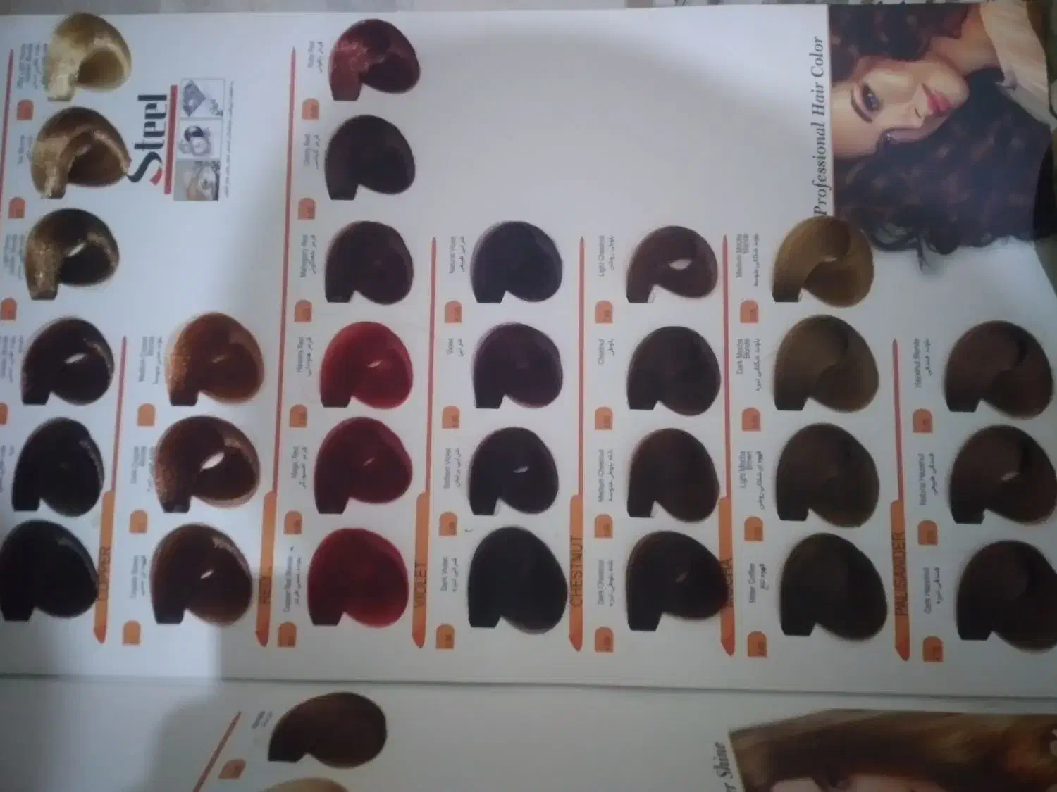 کاتالوگ رنگ مو|آرایشی، بهداشتی، درمانی|گرگان, |دیوار