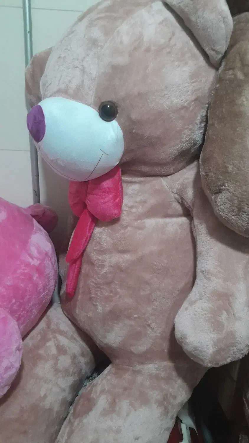 ولنتاینی|اسباب‌‌بازی|تبریز, |دیوار