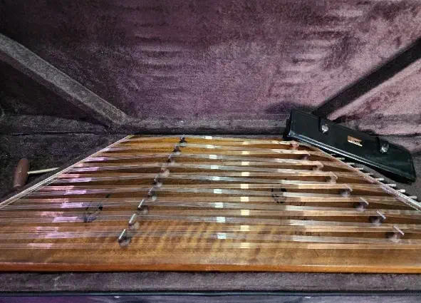 سنتور سالاری|سازهای سنتی|بناب, |دیوار