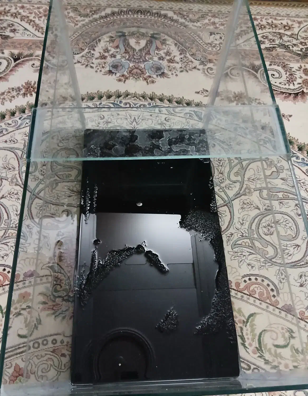 اکواریوم|ماهی|یزد, |دیوار