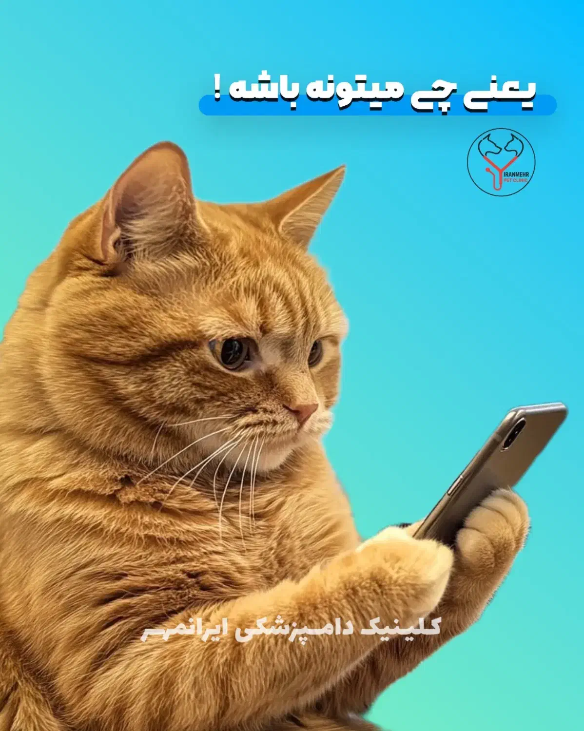 به یک نیروی خدمات در دامپزشکی نیازمندیم|استخدام سرایداری و نظافت|تهران, آرژانتین|دیوار