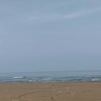 به دنبال کار|فعالیت داوطلبانه|بندر انزلی, سوسر|دیوار