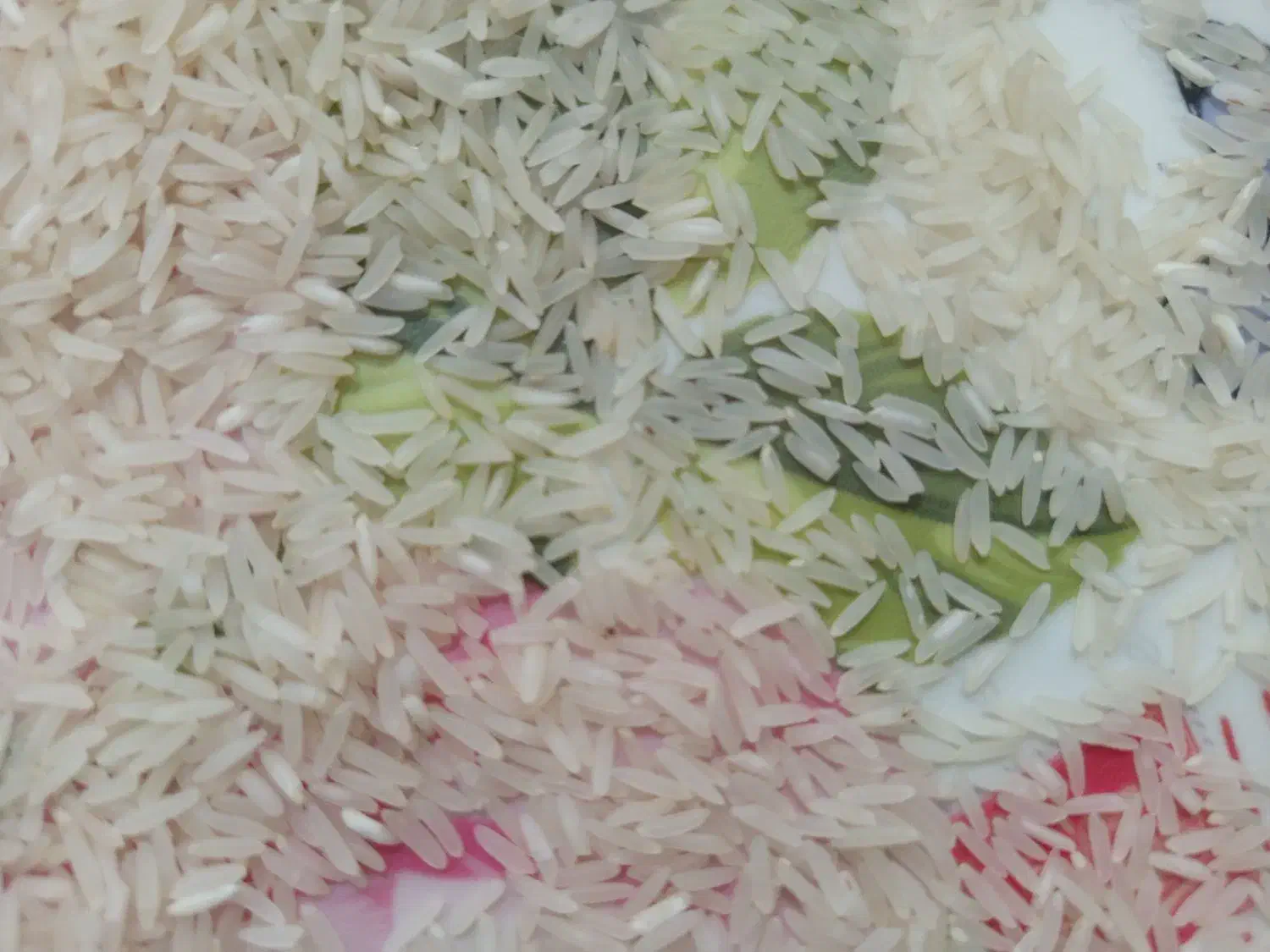 برنج اصل اصل سوزنی قیمت 235|عمدهفروشی|انبارآلوم, |دیوار